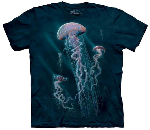 JELLYFISH