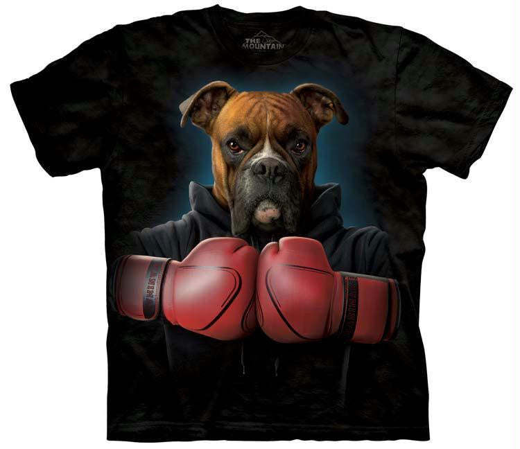 BOXER ROCKY