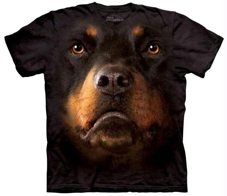 ROTTWEILER FACE