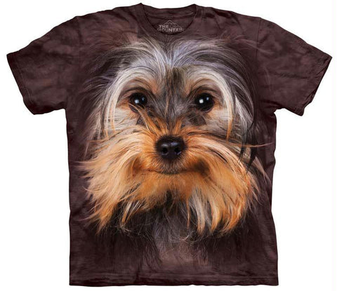 YORKSHIRE TERRIER