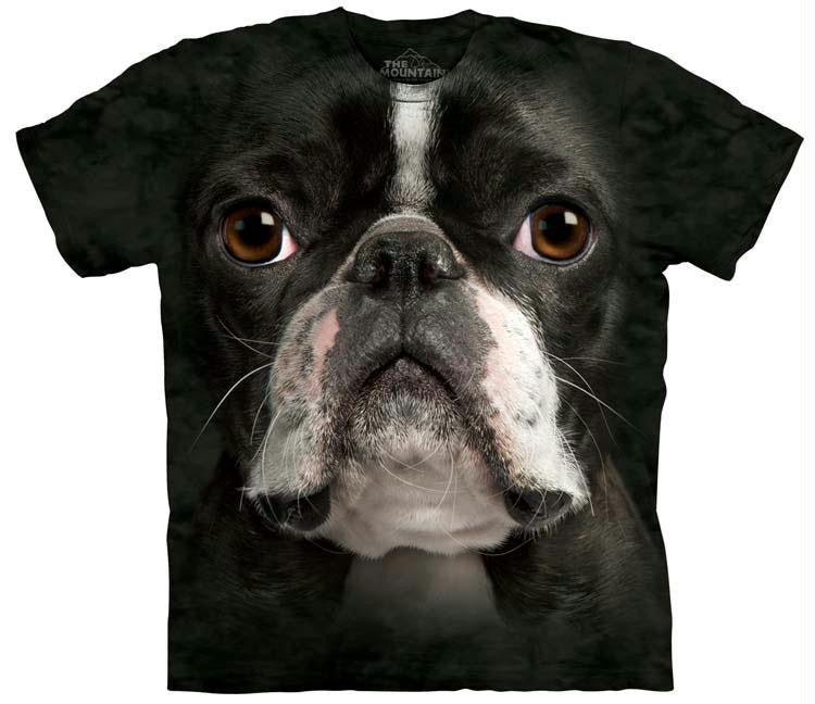 BOSTON TERRIER FACE