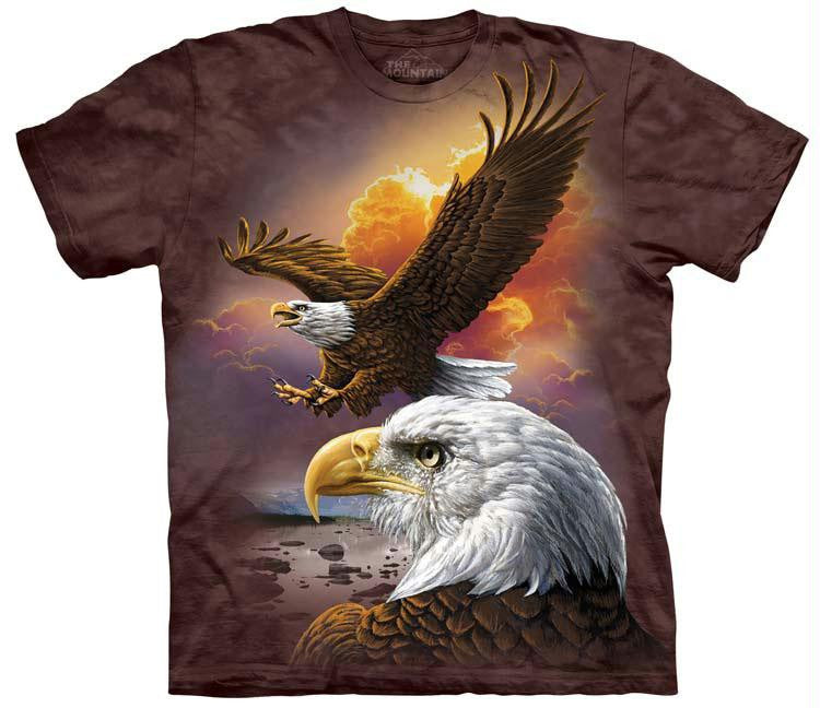 EAGLE & CLOUDS