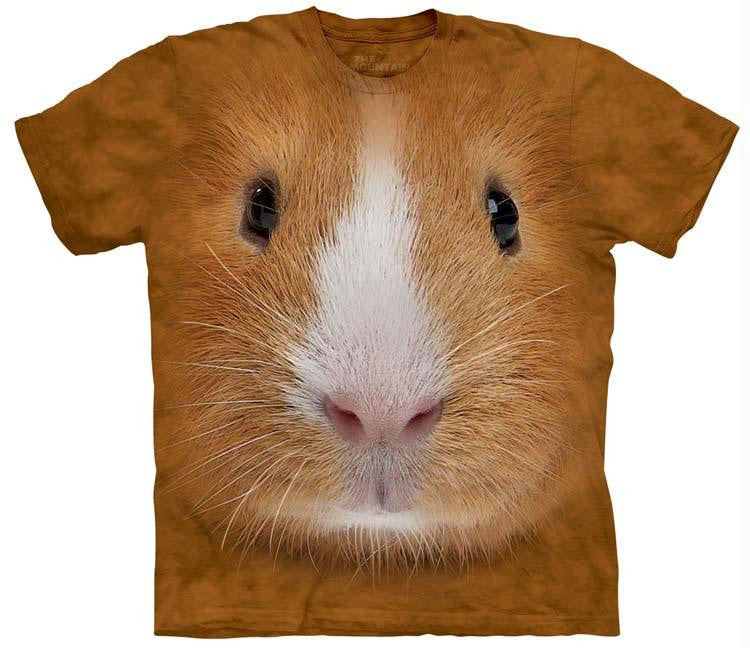 GUINEA PIG FACE