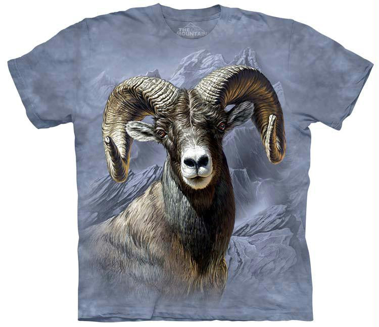 BIG HORN SHEEP