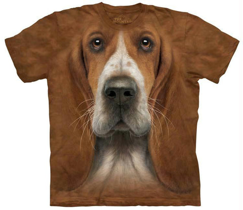 BASSET HOUND