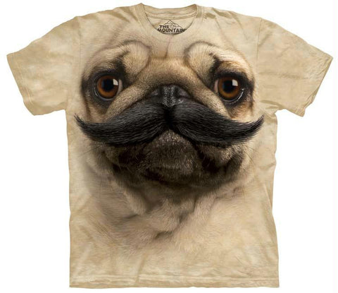 BIG FACE PUGSTACHE