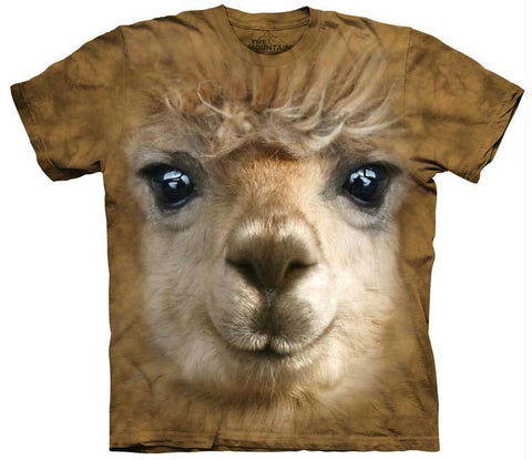 BIG FACE ALPACA