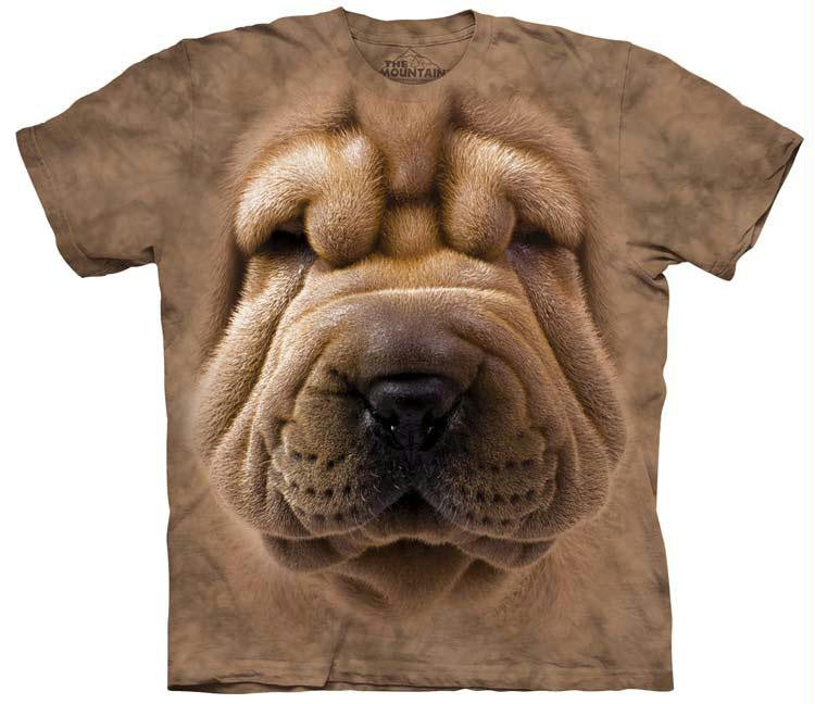 BIG FACE SHAR PEI PUPPY