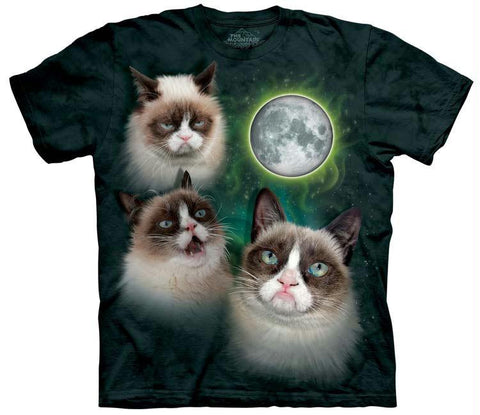 THREE GRUMPY CAT MOON