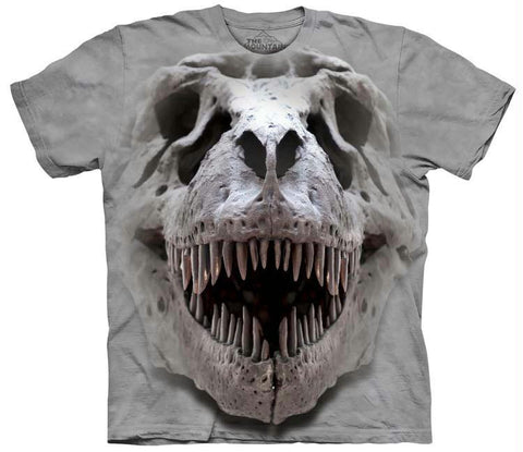 T-REX BIG SKULL