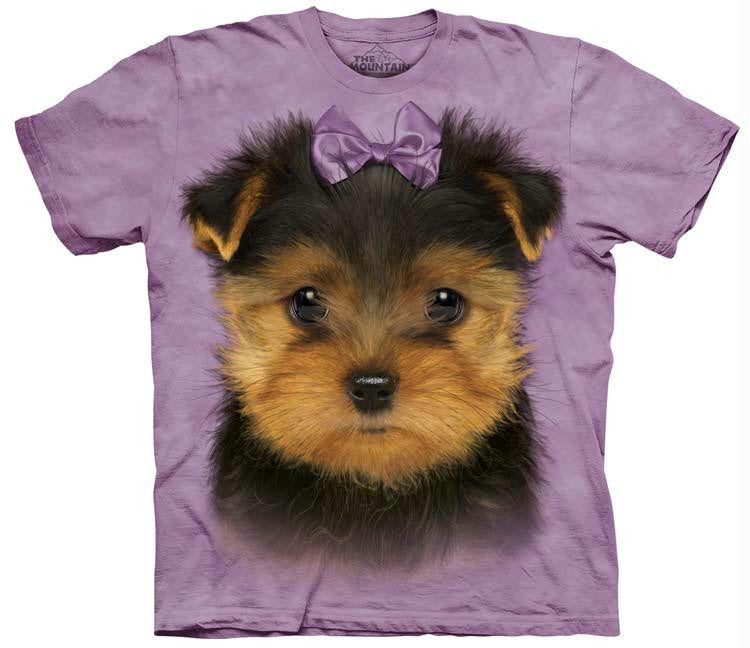 YORKSHIRE TERRIER PUPPY