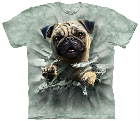 PUG BREAKTHRU