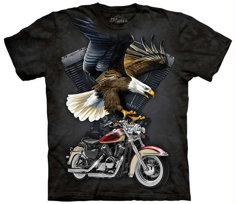 IRON EAGLE - TS