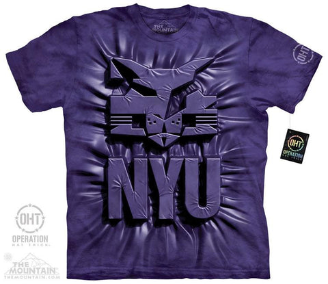 NYU INNER SPIRIT