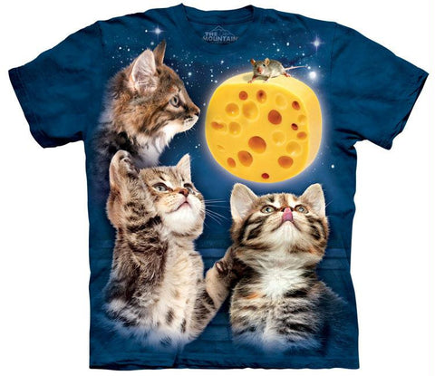 THREE KITTEN CHEESE MOON