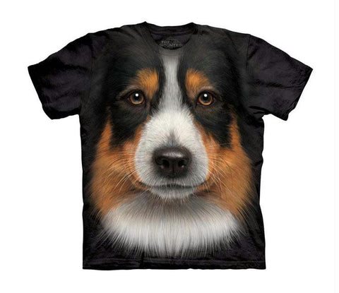 AUSTRALIAN SHEPERD - CH