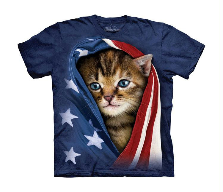 PATRIOTIC KITTEN