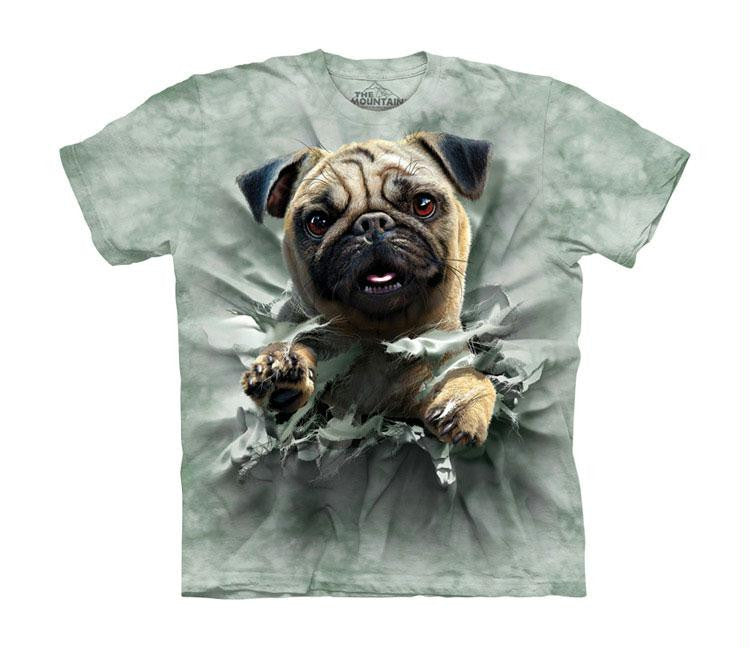 PUG BREAKTHRU CH