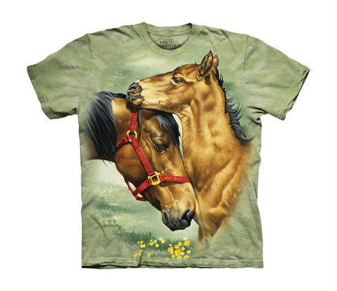 MEADOW HORSES - CH