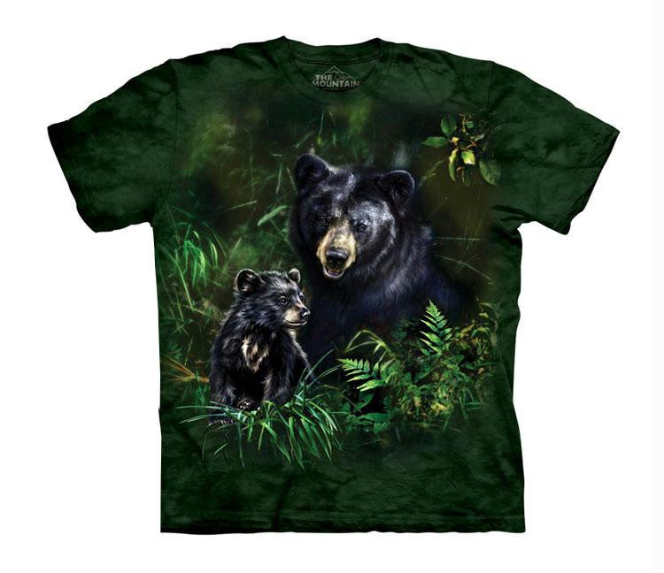 BLACK BEAR & CUB-CH