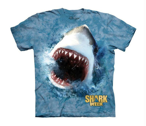 SHARK FEED - CH