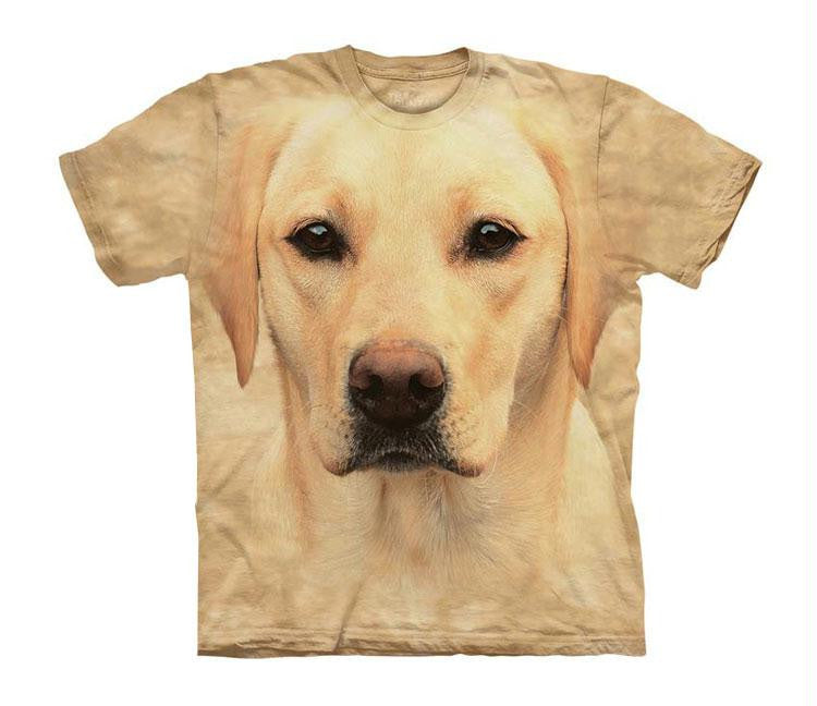 YELLOW LAB POR - CH