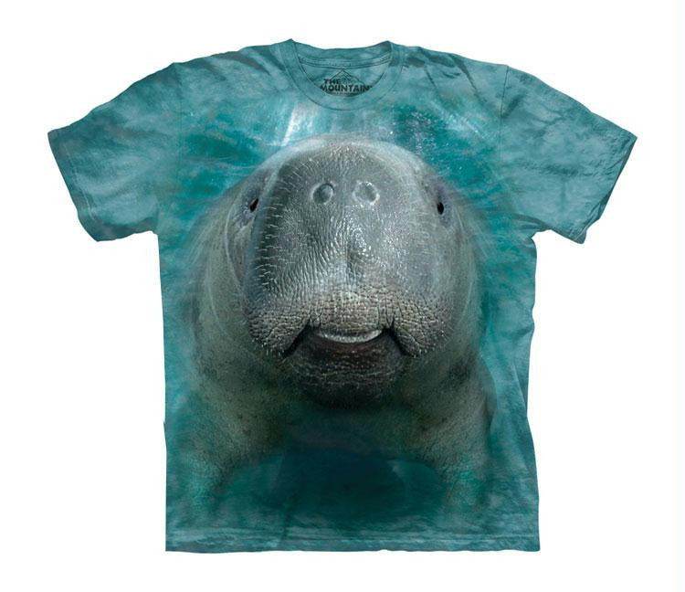 BF MANATEE