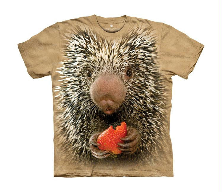 BABY PORCUPINE USA CH